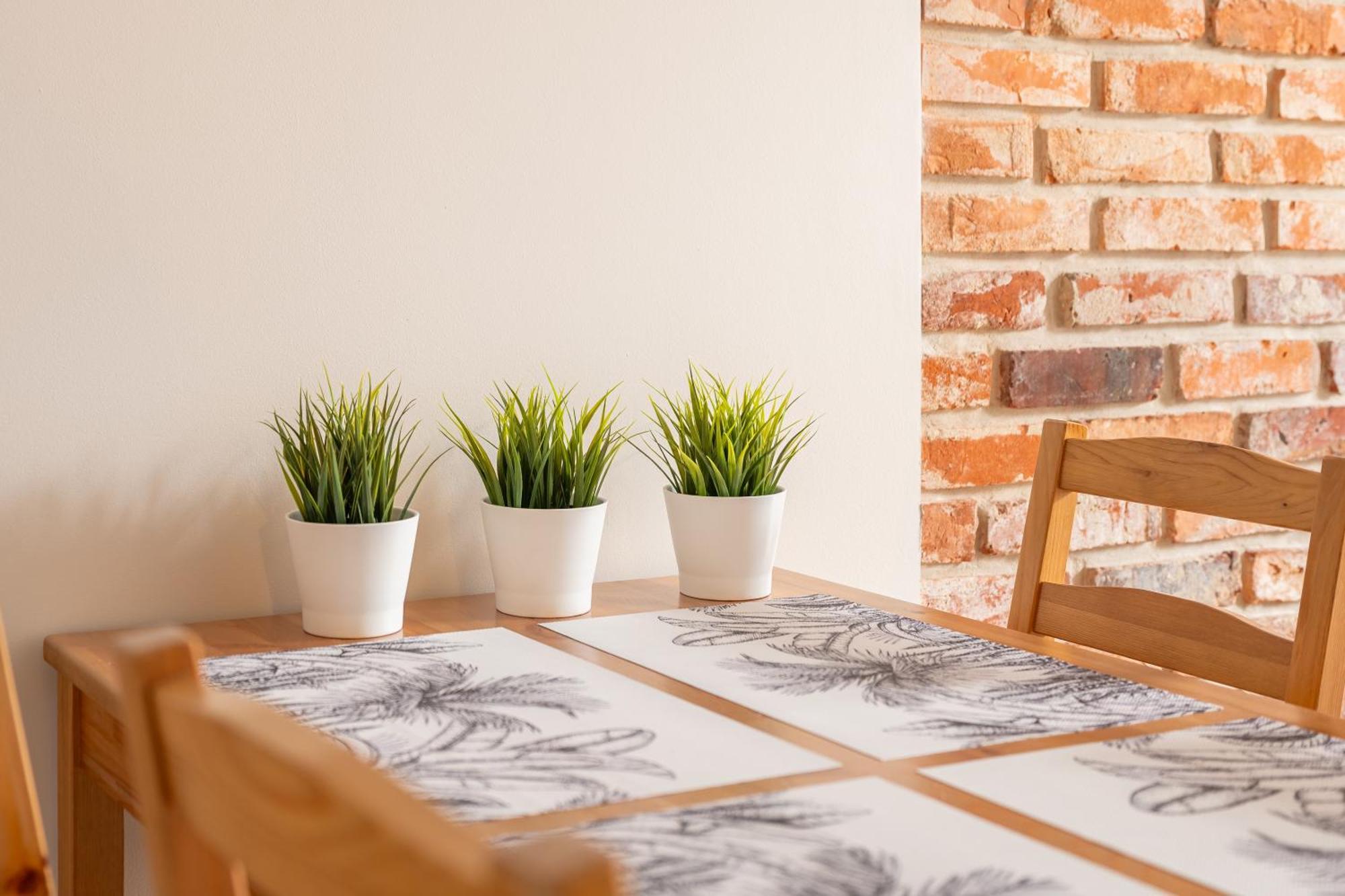 Klimatyzowane Apartamenty Stary Torun By Rentoom Exterior foto
